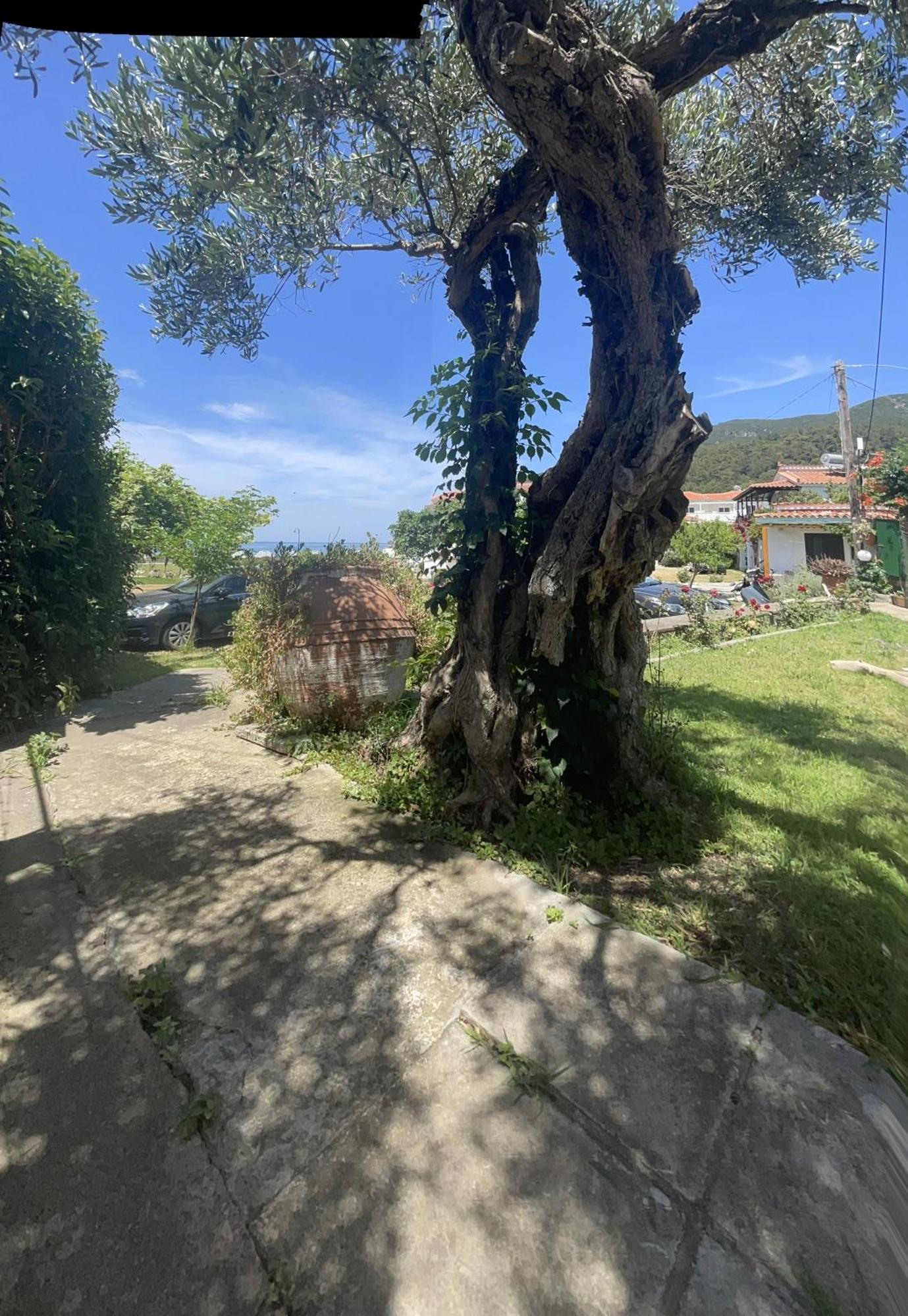 Eleni Del Sol Apartment Skopelos Town Bagian luar foto